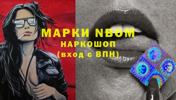 прущий лед Аркадак
